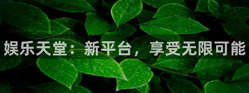 众腾娱乐