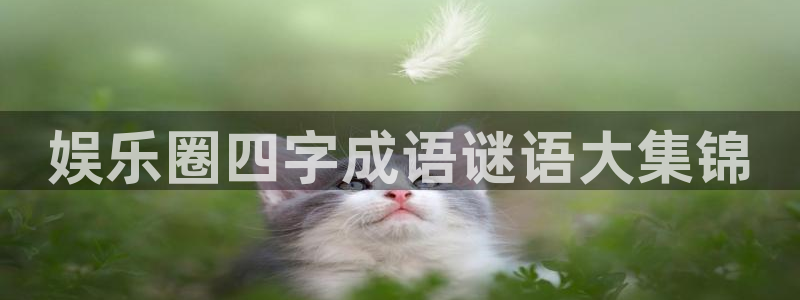 众腾娱乐